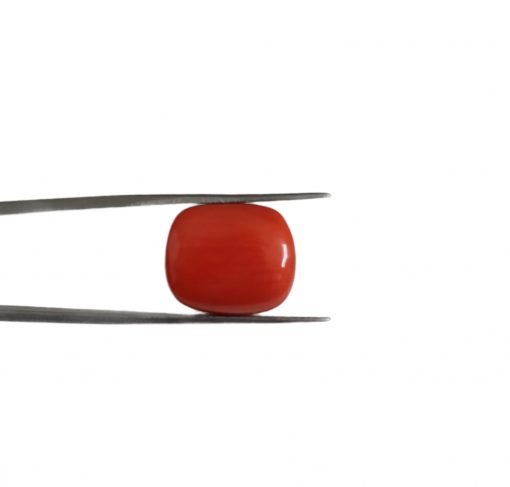 16.05 Carats Red Coral For Jewelry Making