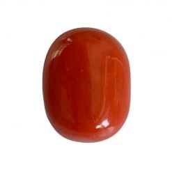 36.50 Carats Big Sized Natural Coral Oval